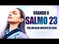 ORANDO O SALMO 23 - Por um agir URGENTE de Deus