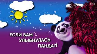 Скидки по-пекински, 2 вариант