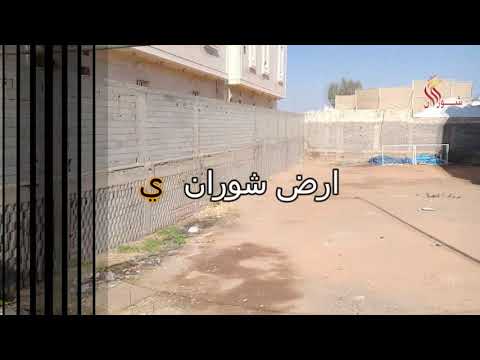 ارض في شوران ي
