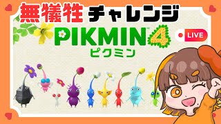 ピクミン4，ドラクエ3，スプラトゥーン2，牧場物語 まとめ売り