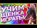 Воспитание щенка #2: учим щенка играть. Щенок познает мир, послушание. Влог.