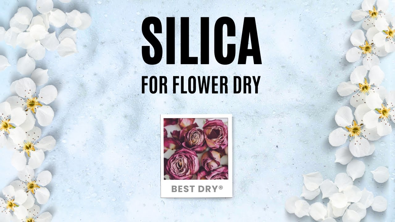 How Preserve Your Beloved Flowers by Silica Gel Desiccant Flower