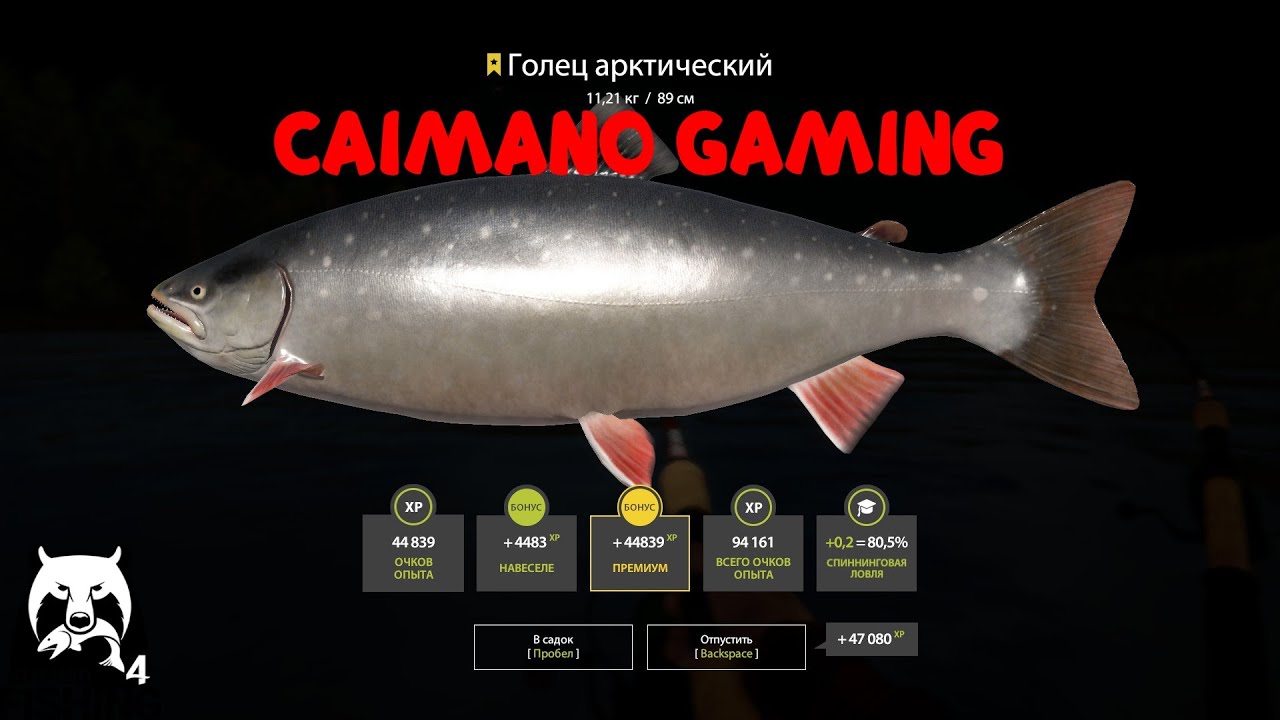 Карта клева рр4 в вк