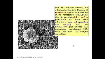 How do Cells Transmit Mechanical Information Through protein interactions, Explained! #BME210