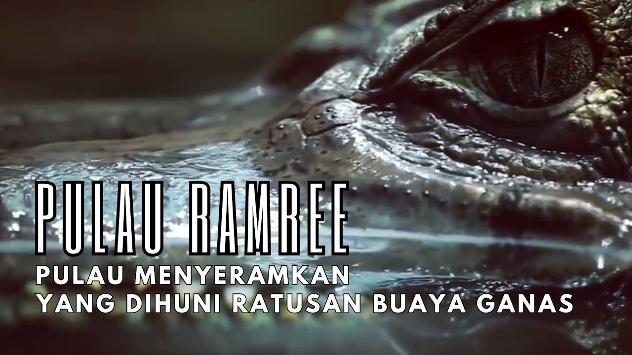 Pulau Ramree : Pulau Menyeramkan Yang Dihuni Ratusan Buaya Ganas