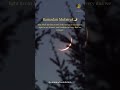 Ramadan Mubarak 🌙😇✨ #ramadan #ramadan2026 #islamicstatus #trending #viral #shorts #motivation #fyp