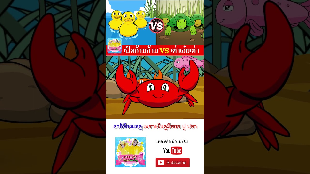 เป็ด vs เต่า  #เพลงเด็๋กอนุบาล #เพลงเด็กน้องนะโม #เพลงเป็ด