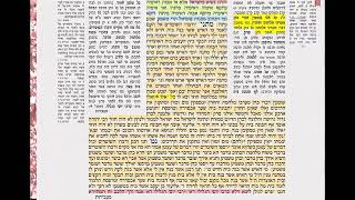 סוטה מג דף יומי מסכת סוטה דף  מג yomi Sotah daf 43