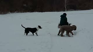 Tate, Allie meet Nolan and Ginger 020926