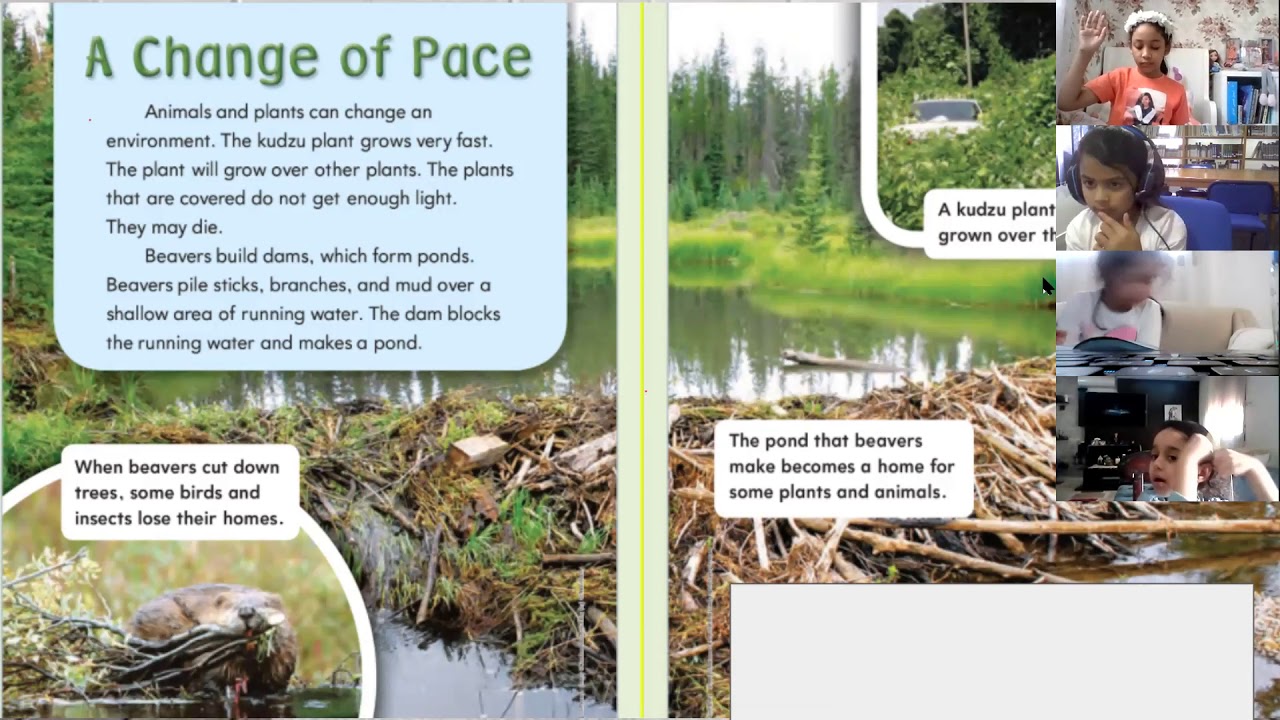 grade 2 girls how do environment change over time? part 1