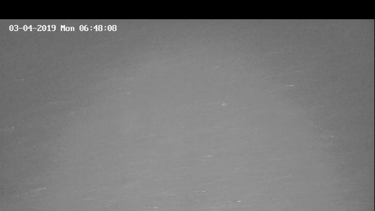 Greenland Cricket Ground Noida Live Stream