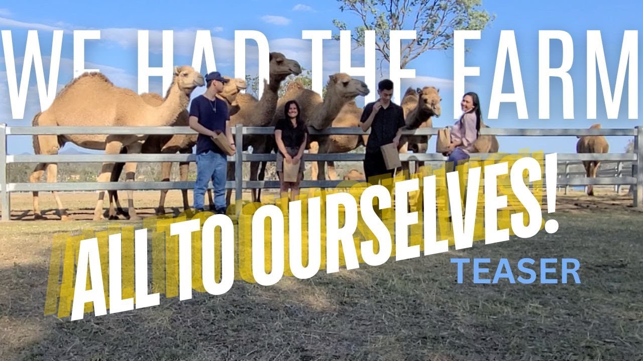 TRAVEL | World's Largest Camel Farm Teaser Video