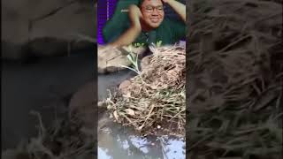 Ini Parah Sih humor kocak ketawa lucu kocakabis dagelan  awreceh dagelan indovidgram