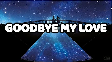 Sia Ft. Alan Walker - Goodbye My Love (Lyrics) | New song 2018