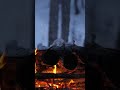 Cooking Fajitas over the Campfire