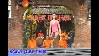 Download lagu Setulus hatimu,jeki,by.Campursari Tokek Sekarmayang(call: 628122598859)