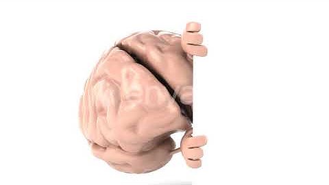 Fun cartoon brain | Motion Graphics - Envato elements