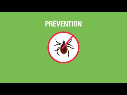 Vidéo: Symptômes De La Maladie De Lyme Et De La SP: Ce Que Vous Devez Savoir