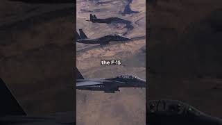 The Air Force Never Expected This Eagle 😳