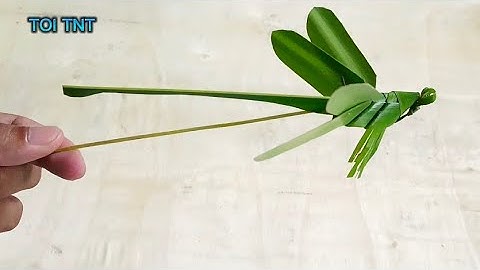 Cách làm con chuồn chuồn bằng lá dừa đơn giản đẹp, dễ làm theo| TOI TNT