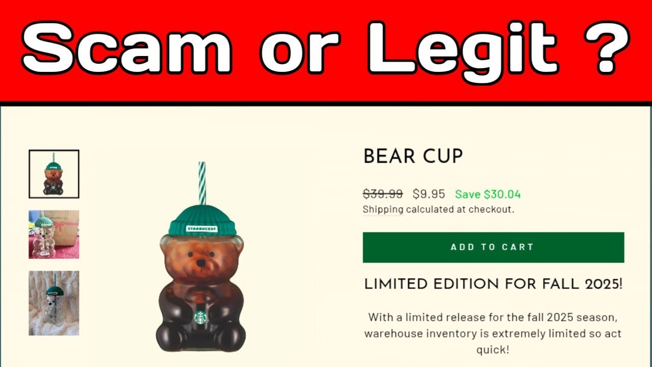 Обзор Temaras Bear Cup: Temaras Bear Cup — мошенничество или закон?