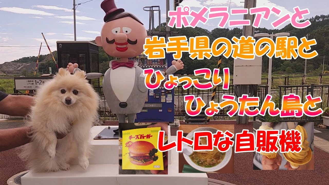 【ポメラニアン】と【ひょっこりひょうたん島】のモデルの島と岩手県の【道の駅】に行って、【レトロな自販機】にも行って来ました。