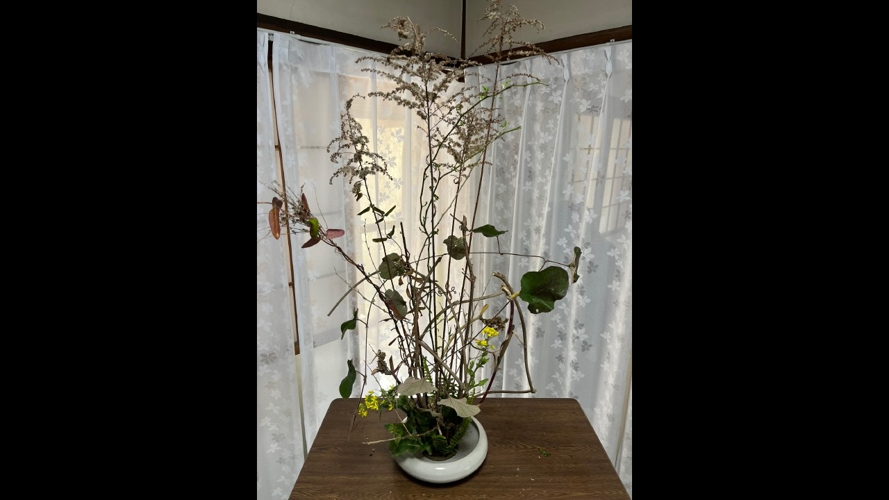 投稿903　０蘭Nature art