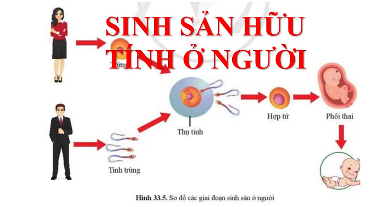 Chiều hướng tiến hóa của sinh sản hữu tính năm 2024