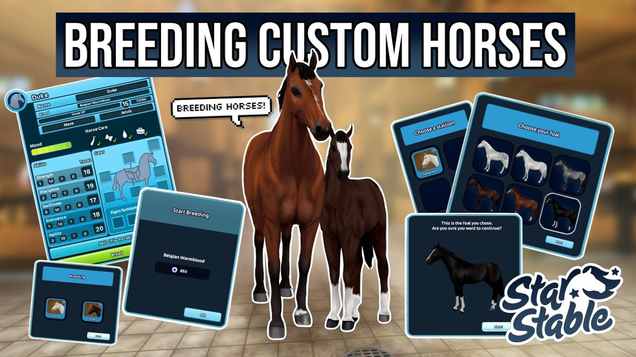 Breeding Custom Horses in Star Stable! YouTube