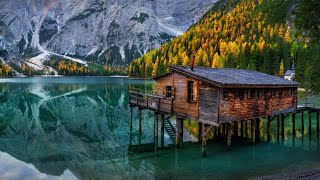 Dmpv Anveld - My Mind Original Mix Nahawand Recordings