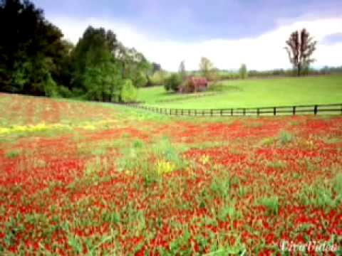نشيد يا إله الكون يا سندي