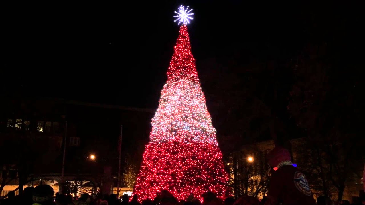 New Christmas tree in Johnstown Central Park, 2015. YouTube
