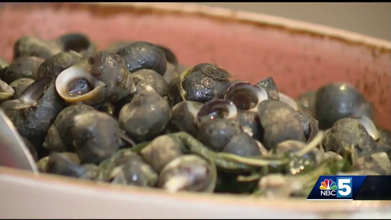 Students learn how to "eat the invaders"