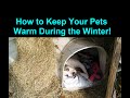 How to Keep a Dog Warm During Winter Cold Weather - Warm Dog House How to Keep a Dog Warm During Winter Cold Weather - Warm Dog House