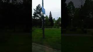 Nature in the city #shorts #nature #city #people #weekend