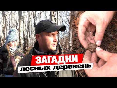 Загадки лесных деревень. На месте старых поселений 🏛️