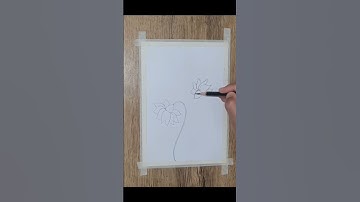 #flowers #shading #shorts @tulipart1407