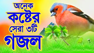 Life Changing Top 3 Heart Touching Gojol | জীবন পরিবর্তন করা ৩টি সেরা গজল | Bangla Gojol | গজল