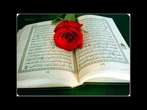 ماشي في الأرض أبيا امينة كرم من تصميمي