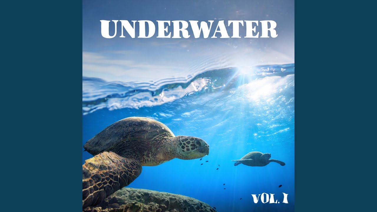 Watch Waterlight on YouTube Watch Waterlight on YouTube