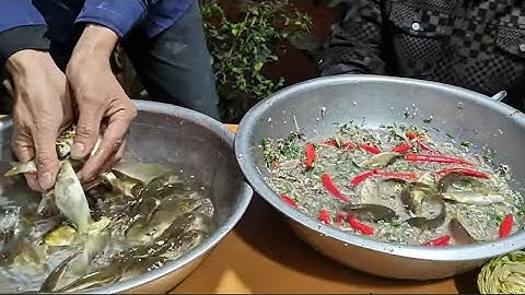 Gỏi Cá Nhảy Siêu Nhiều Ớt Mời Khách Của Lão Kòy