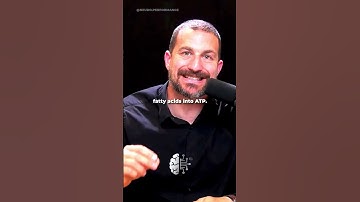 L-Carnitine Can Increase Weight Loss🧪 #fatloss #weightloss #andrewhuberman