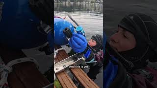 Sarah takes on her first solo dive off her boat in Lake Washington. #solo #scubadiving #diving