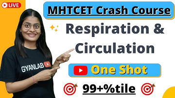 MHTCET 2022 Crash Course | Respiration & Circulation | One Shot | Biology | Gyanlab | 🎯99%tile |
