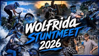 Wolfrida STUNTMEET Full send😤