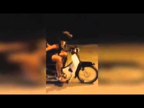 Собака за рулем мотоцикла