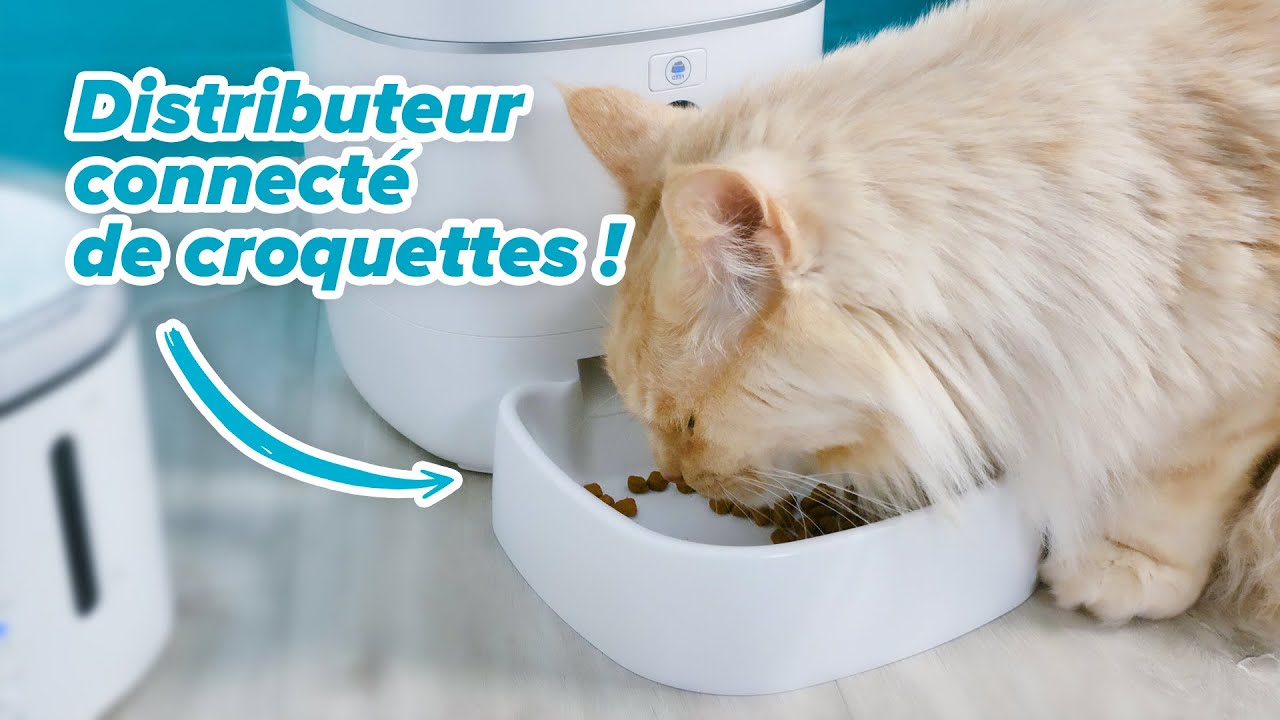 EUGAD Distributeur Croquettes Chat Chien Automatique 4L avec 2