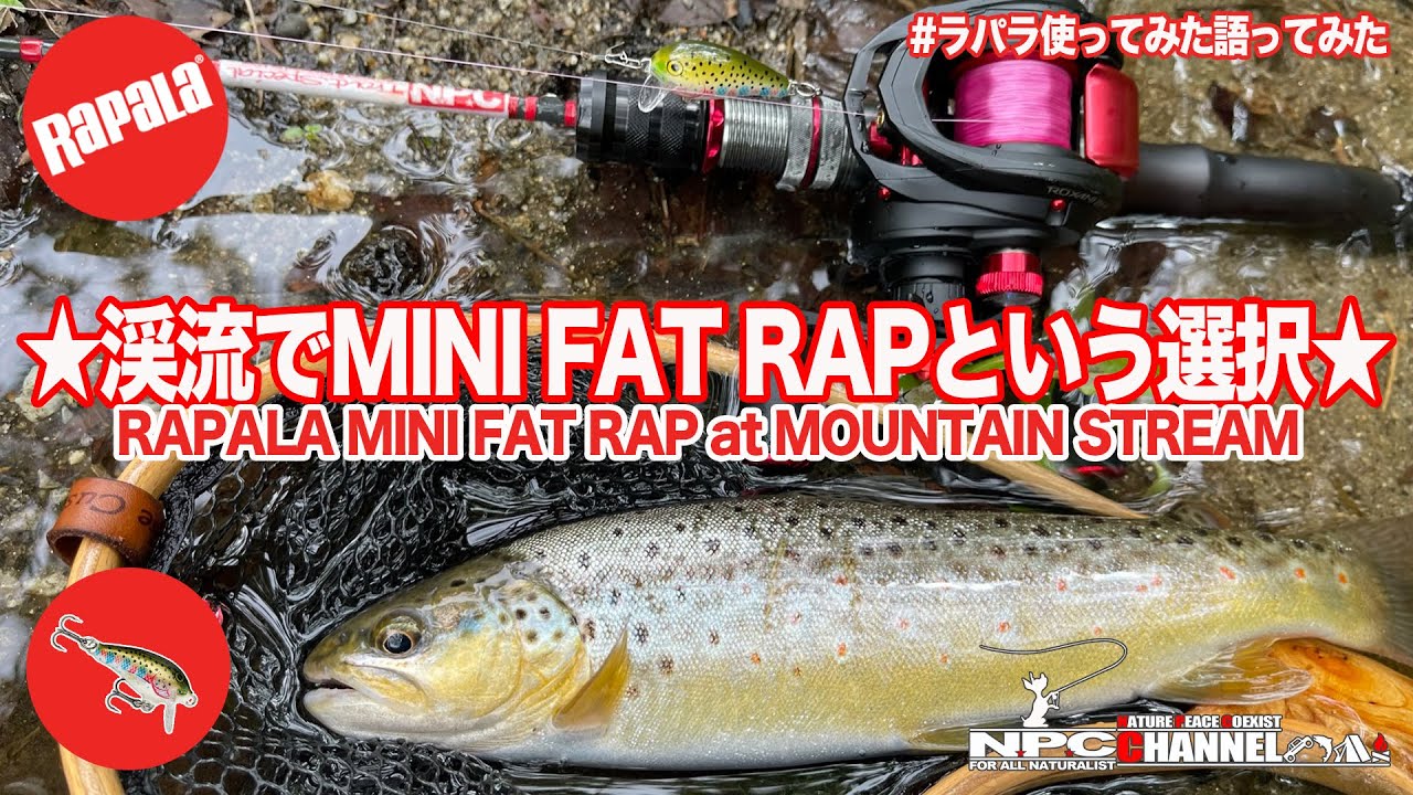 Rapala】MINI FAT RAPを渓流で使ってみた!語ってみた! 【渓流釣り