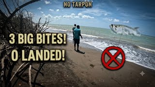 ​3 Massive Strikes, 0 Fish: The Reality of Tarpon Fishing
