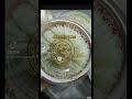 翻唱:你总要学会往前走. Yu Bird Nest